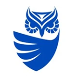 Cognysis